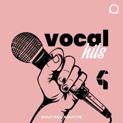 Vocal Hits Vol 4