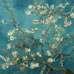 Almond Blossoms _ Live ver