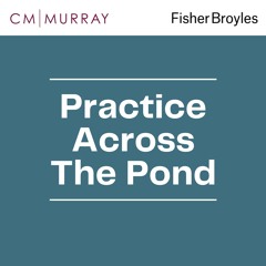 Practice Across The Pond: Introduction to the Regulatory Landscape and Conflict Management