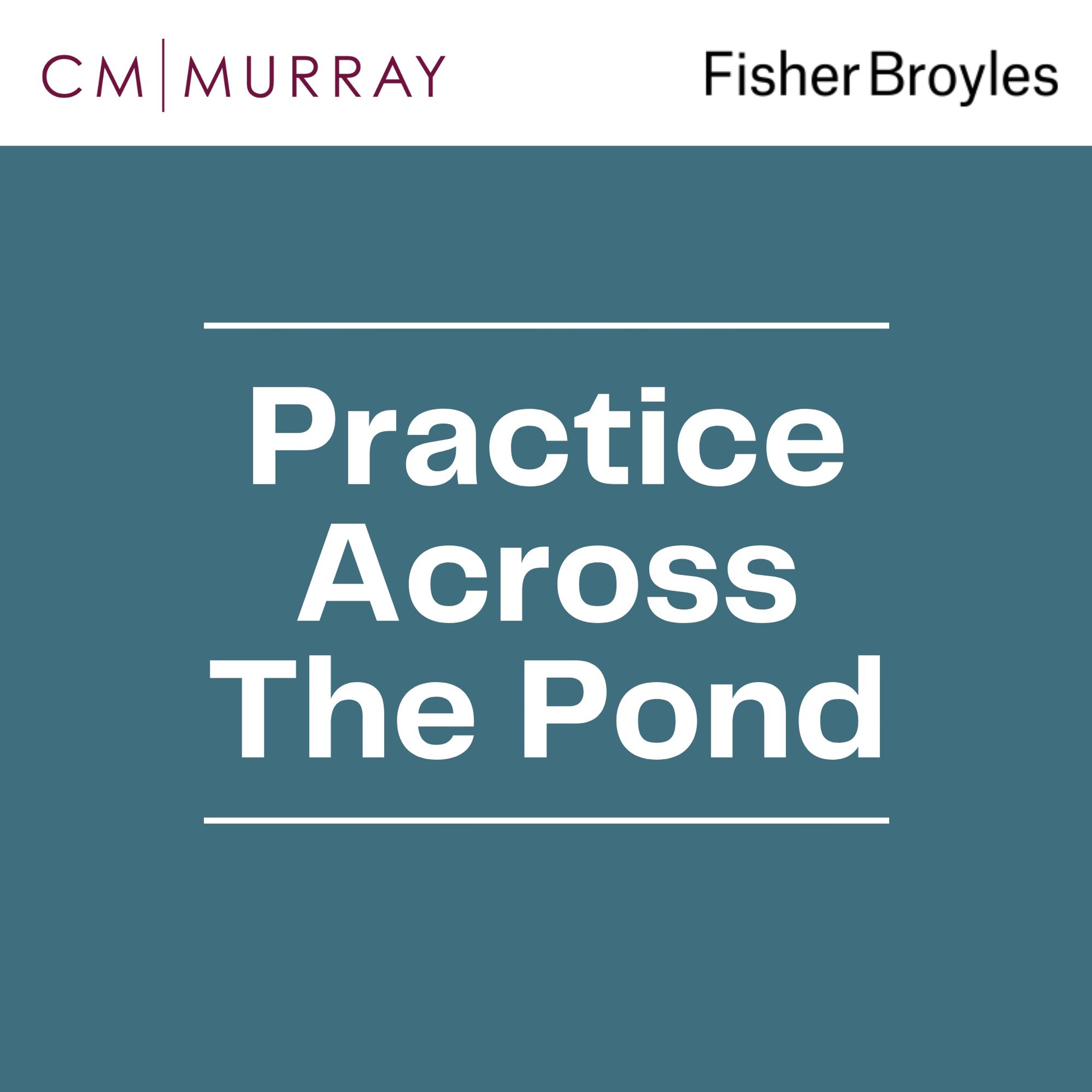 Practice Across The Pond: Introduction to the Regulatory Landscape and Conflict Management