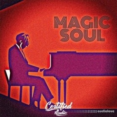 Certified Audio Magic Soul Free Download