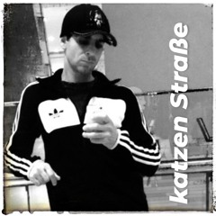 katzen Straße