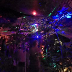 A Summer House Night