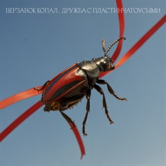 Монтажная пена