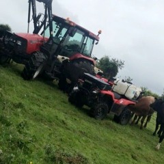 Lambing Time Paul Kelly