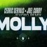 Cedric Gervais ft Joel Corry - Molly (Jeycro Remix)