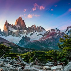 Lonely Casseopaia in Saint Gilles
