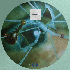 MarekSPolzki - Macro (Original mix)