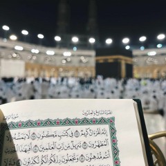 مَا أَنْزَلْنَا عَلَيْكَ الْقُرْآنَ لِتَشْقَى | سورة طه | القارئ إبراهيم مدهش المنصري