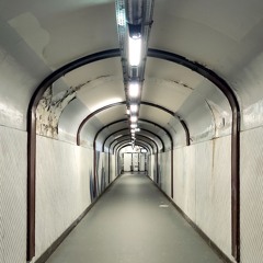 Obstacles - Rudique feat Zanesha (Lowtr Remix)