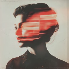 The Polish Ambassador - My Night With The Prostitute From Marseille