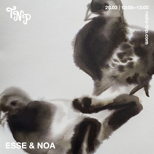 Esse & Noa