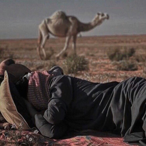 لا تلوم العاقل ان صار انعزالي ):