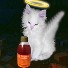 ELLE EST SOUS EUPHON !!!! pas2ballon