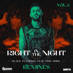 Black Flamingo Feat. Mar Shine - Right In The Night (GSP Remix)
