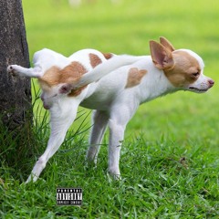 PISS ( Prod. Shingo! )
