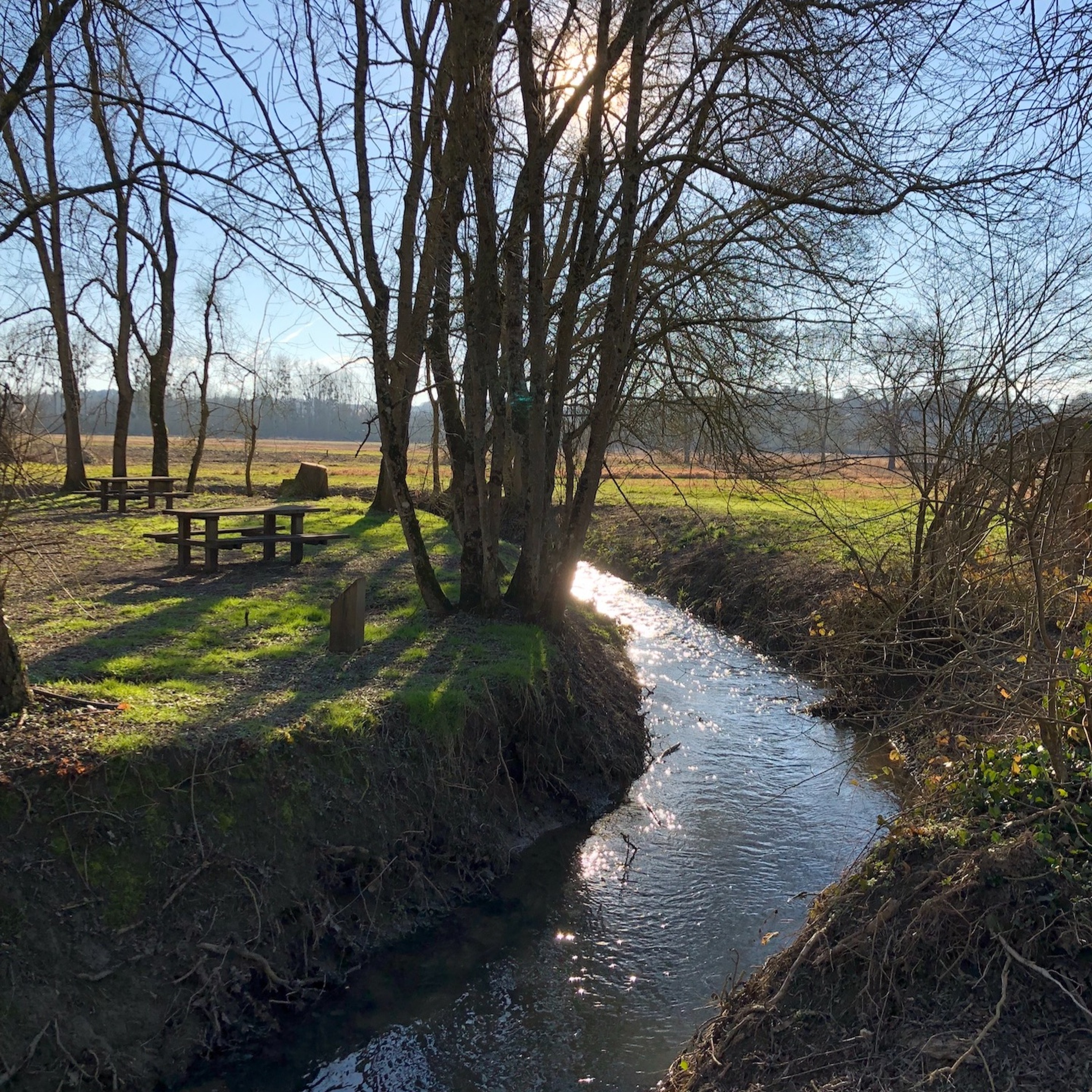 Episode 2 - Les causes d'un déséquilibre alimentaire