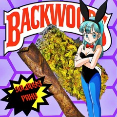 Backwoods // SOLODYS feat PRKY