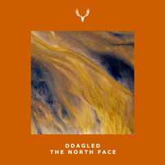 Odagled - The North Face (baez Remix)