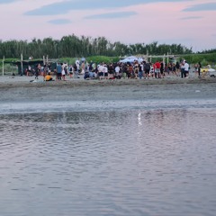 layo & bushwacka  - summer gone (mixed)