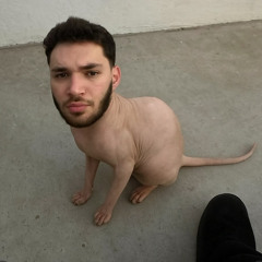 Torta Hoes[prod@birdbusinness]