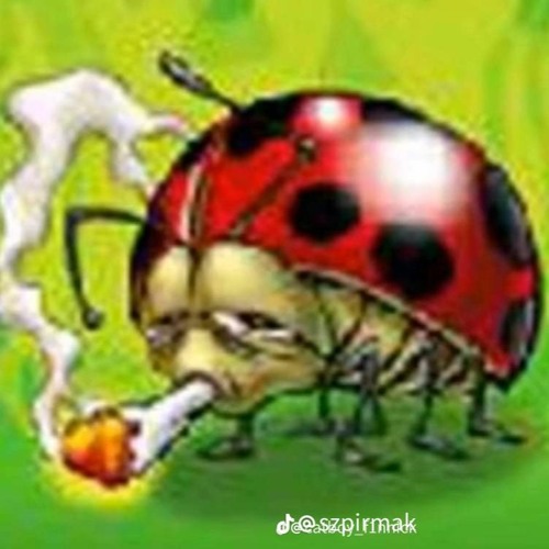 Baciary - Wódko Ma (DJ Rak Płuc Hardstyle)