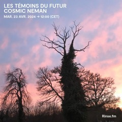 Les Témoins du Futur : Cosmic Neman - 23 Avril 2024
