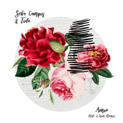 Seba & Fida - Amor (Dole & Kom Remix) [trndmsk]