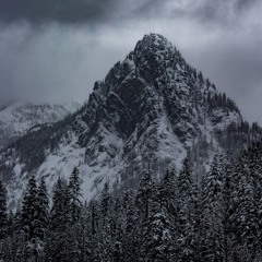 Field Journal Companion Winter 2024-25