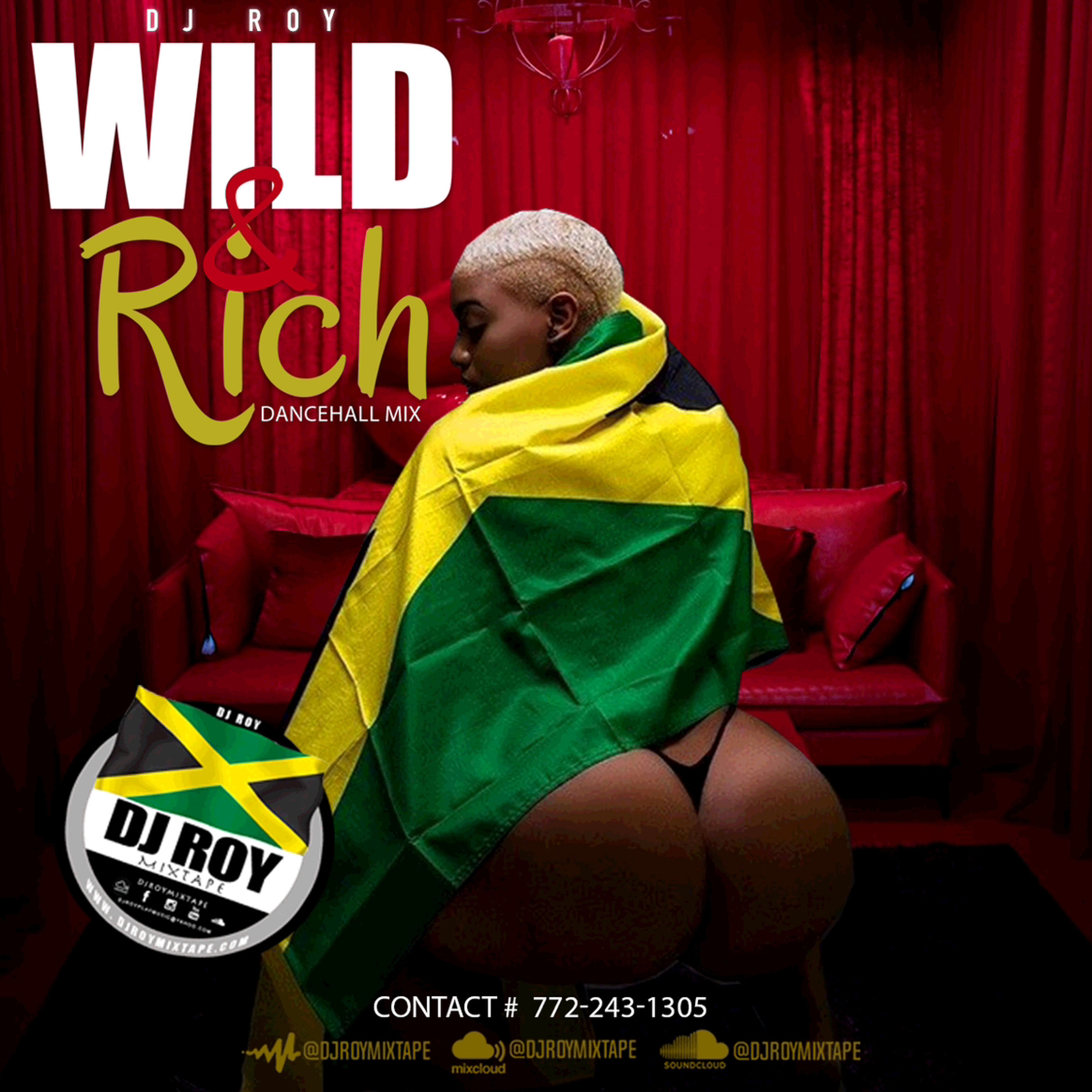 DJ ROY WILD N RICH DANCEHALL MIX [JAN 2024]