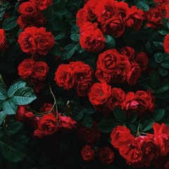 لا ترحل / يسرا حمزة