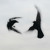 Artwork for riverside (wings to fly)