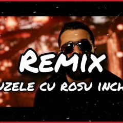 Detron - BUZE CU ROSU INCHIS - Remix