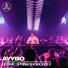 AYYBO at Seismic Spring 2025 DJ mix artwork - Electronic music tracklist cover image