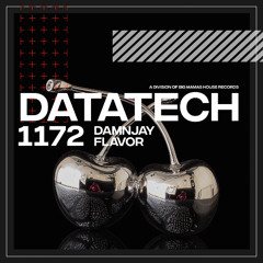 DAMNJAY - Flavor [Radio Edit]