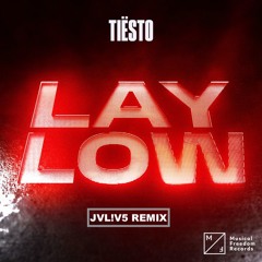 Tiësto - Lay Low (JVL!V5 REMIX)
