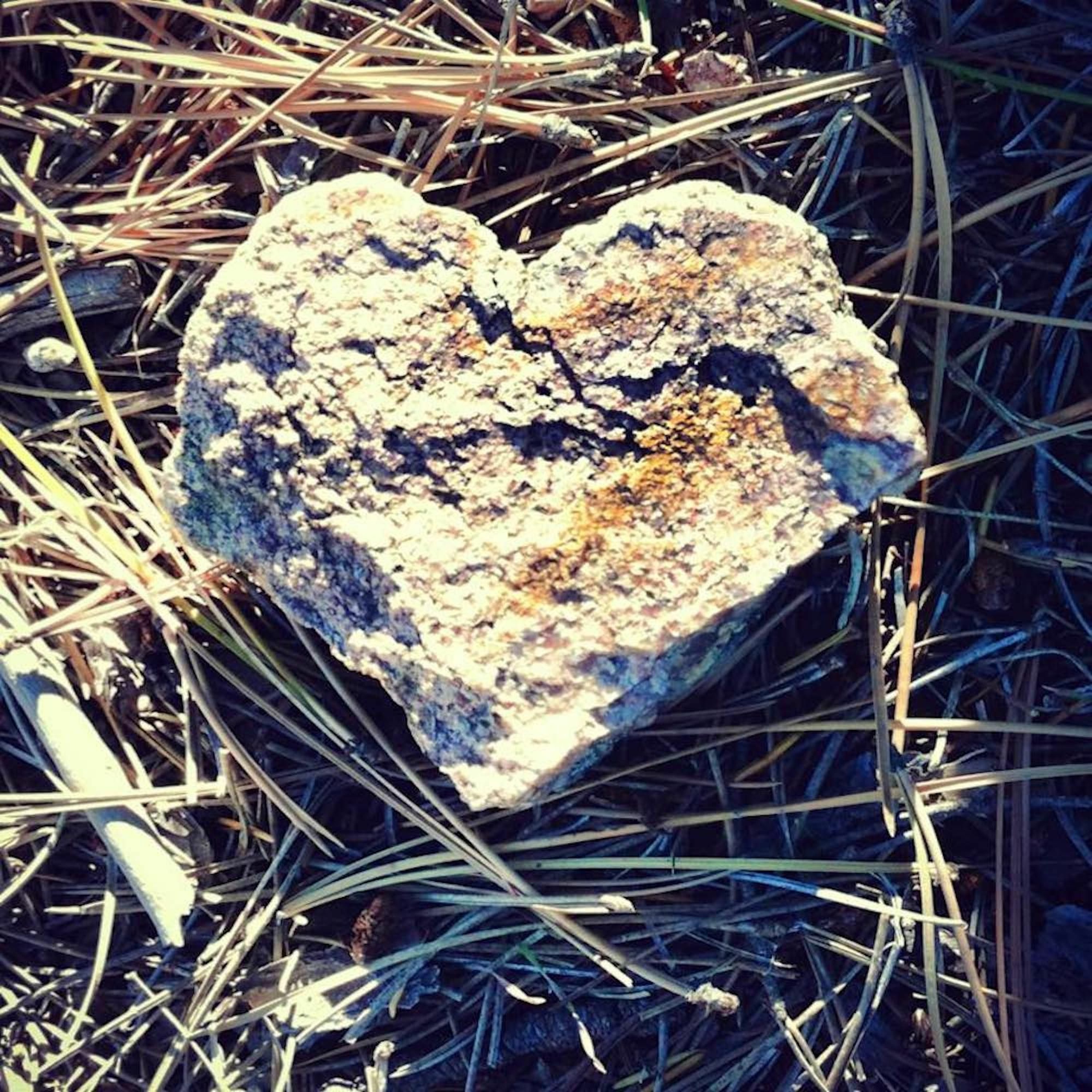THE MEDICINE — Melissa La Flamme   2:12