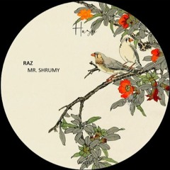 | Premiere | Raz - Mr. Shrumy [HS013]