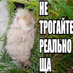 тугкз