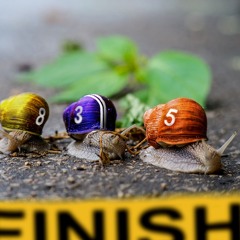Snails Race