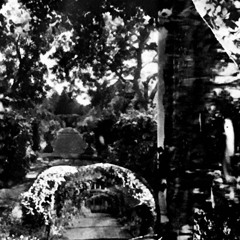 EMBALMER- TULPAMANCY