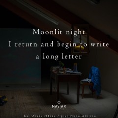 Mr Moonlight (naviarhaiku447)
