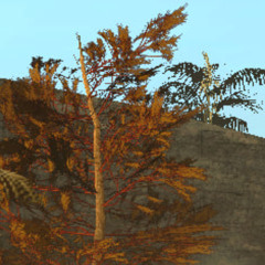 grapler 142 @whitemoralplug