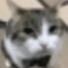 ֶָ֢⤹⎛⎝ ≽ > ⩊ < ≼ ⎠⎞c