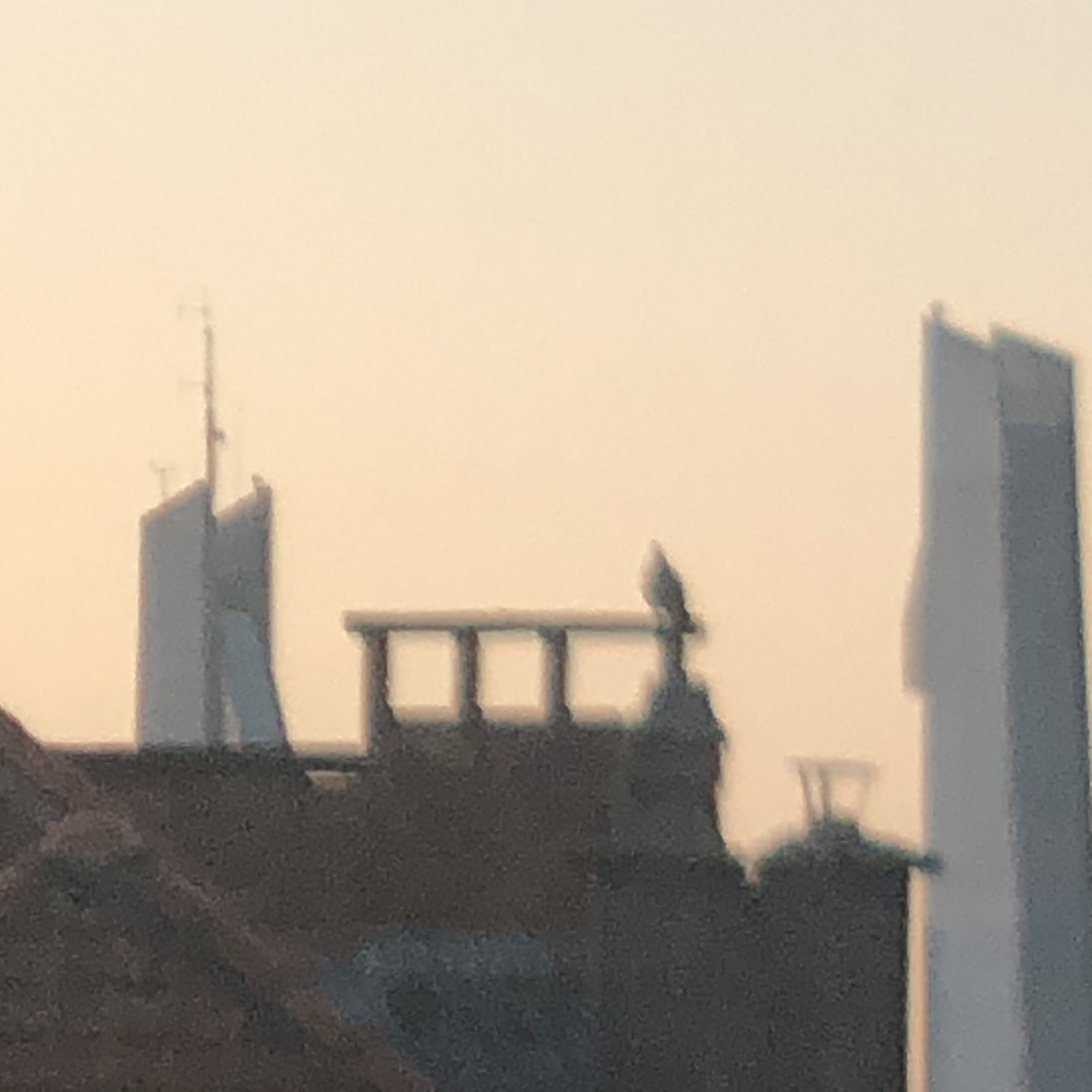 MIJN LABEL PODCAST