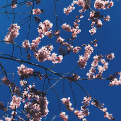 Yeek - Im Trying [Slowed + Reverb]