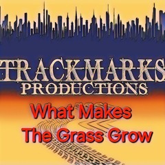 What Makes The Grass Grow