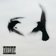 Long Courrier (feat. Bagheera)