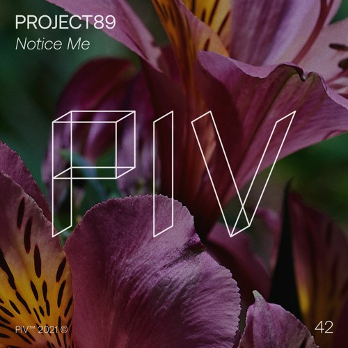 Project89 - When I'm Not Around
