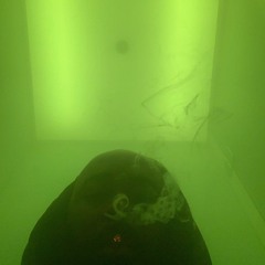 everybody wants to rule the world [cover]